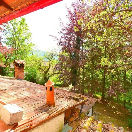 With Garden And Shared Pool Migliorini