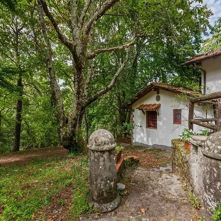With Garden And Shared Pool * Migliorini